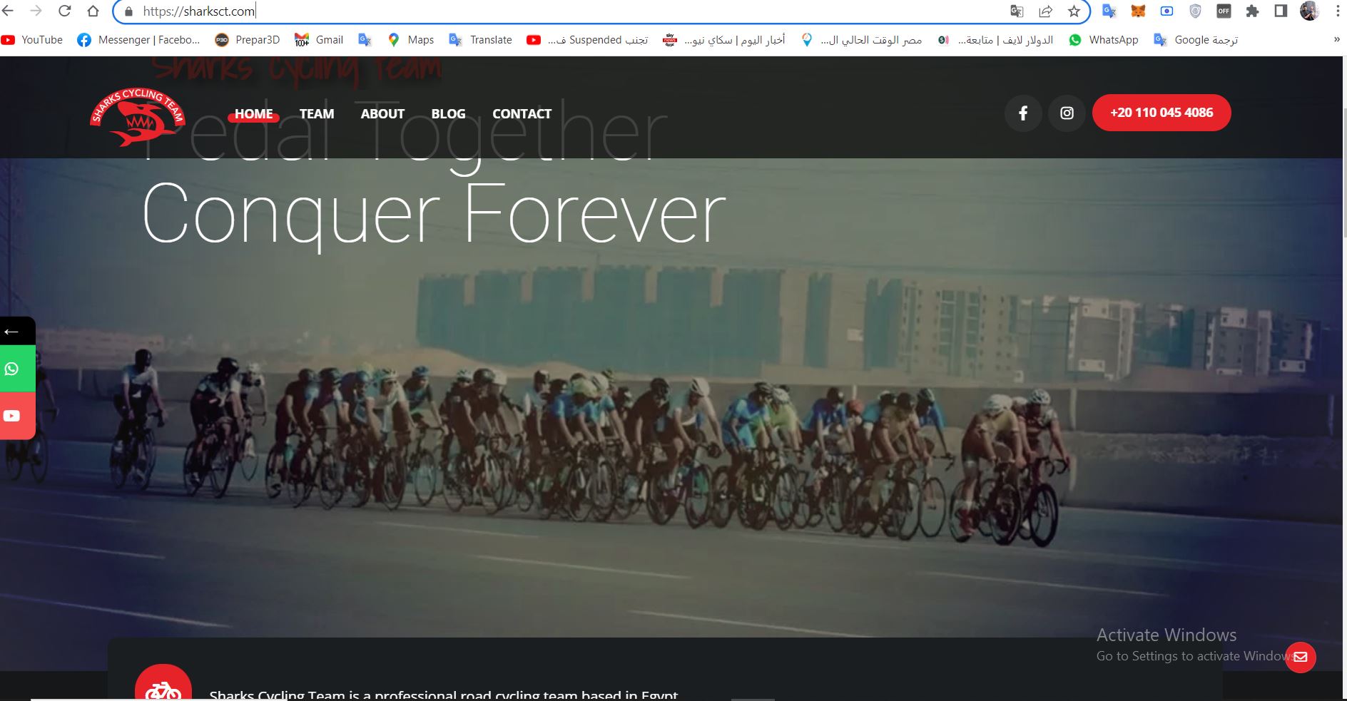 SHARKS<strong>TEAM</strong>